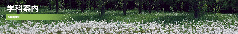 学科案内